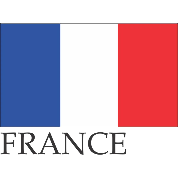 France Embroidered Flag Badge