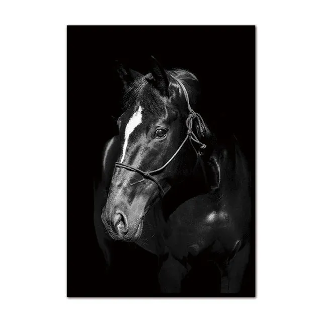 Unframed Wall Decor Beauty of Horse-Portrait Multiple Sizes