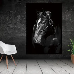 Unframed Wall Decor Beauty of Horse-Portrait Multiple Sizes